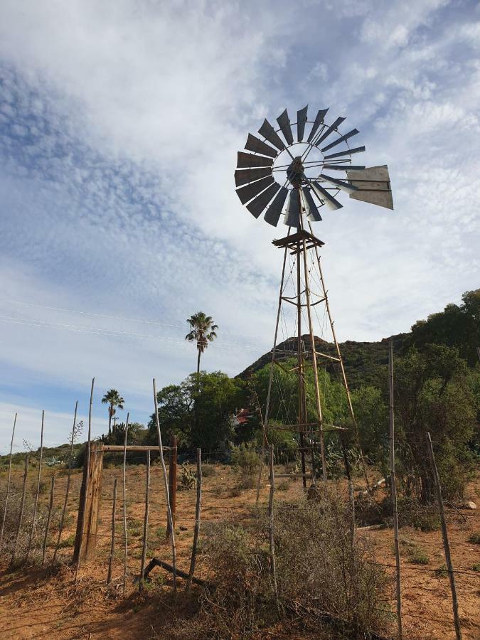 Thabile Lodge Oudtshoorn Exterior foto